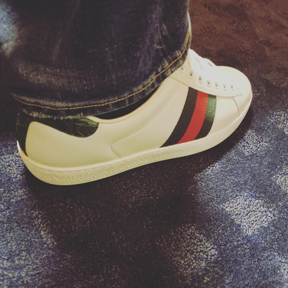 Meet your Posher, Rigel - Picture 5 of 8